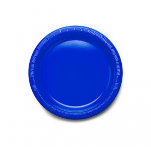 P/PLATE 7 P/PLATE 7